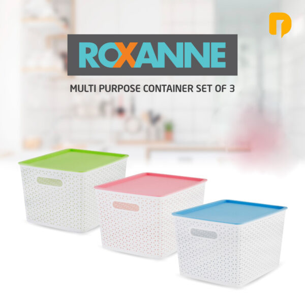 Keranjang Box Roxanne Multi Purpose Container set of 3